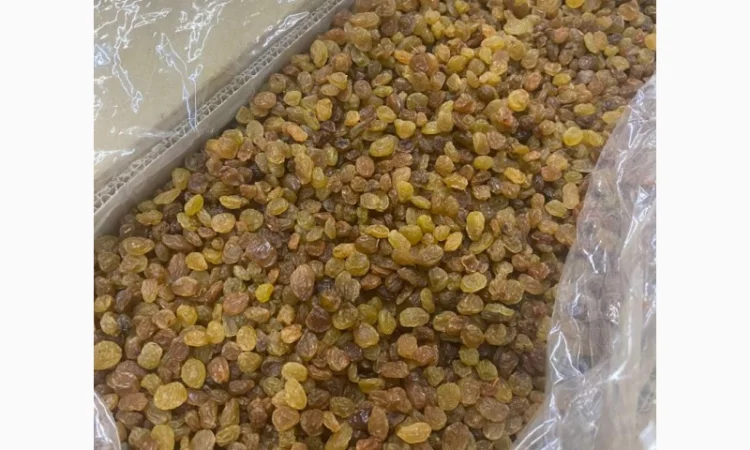 Изюм светлый Иран - фото № 3