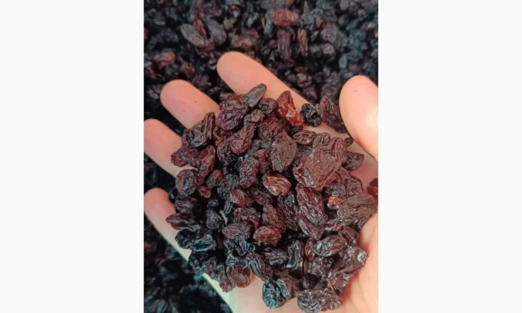 Изюм Узбекистан Темный - фото № 1