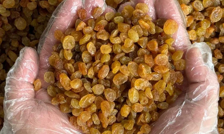 Родзинка - фото № 1