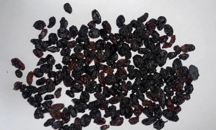 Продаем изюм черно-красный. Производство Узбекистан - фото № 1