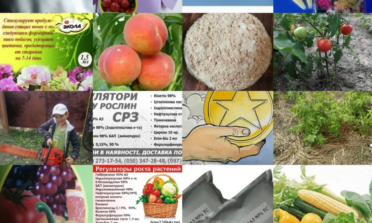 Регуляторы роста рослин - фото № 3