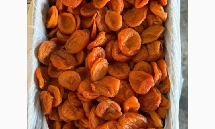 Курага з Узбекистану - висока якість - фото № 1