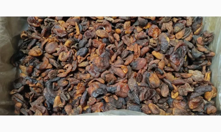 Курага Кондитерская Индустриал в продаже - фото № 1