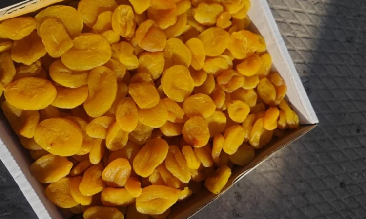 Курага Афганистан Индустриал - оптовая продажа - фото № 1