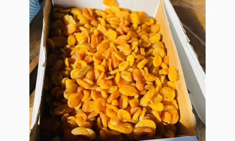 Курага Афганистан Индустриал - оптовая продажа - фото № 2