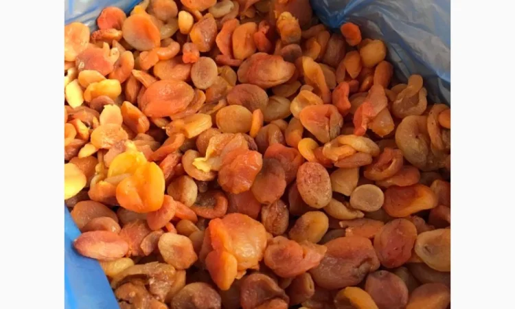 Продам курагу - фото № 1