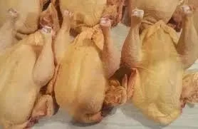 Продажа домашних бройлеров живым весом и тушкой - фото № 1