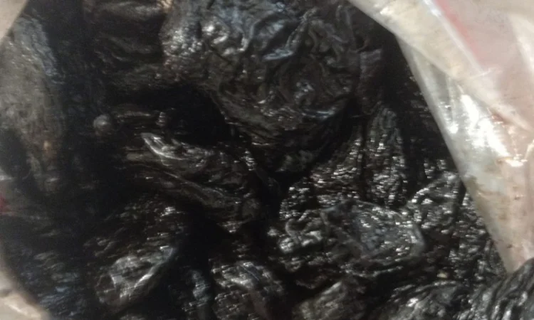 Чорнослив Україна копченый - фото № 1