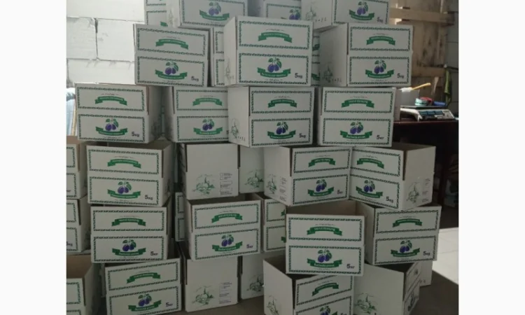 Чорнослив без диму вялений - фото № 5