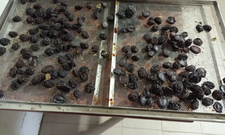 Чорнослив без диму вялений - фото № 6