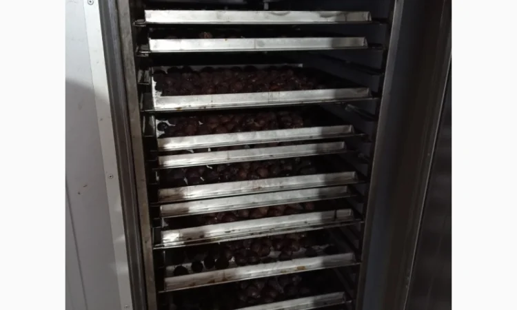 Чорнослив без диму вялений - фото № 7