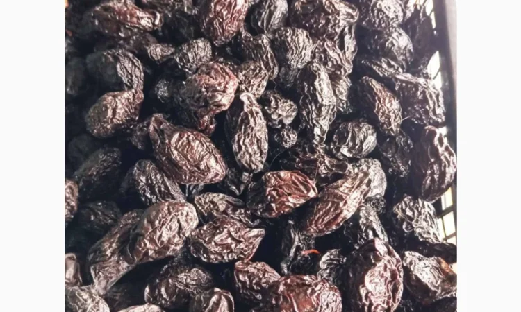 Продам Чорнослив - фото № 1