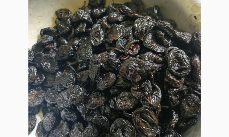 Продам чорнослив - фото № 1