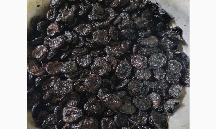 Продам чорнослив - фото № 3