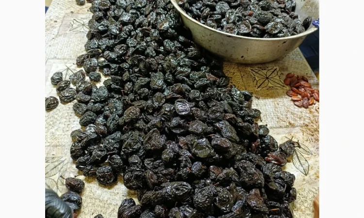 Продам чорнослив - фото № 4