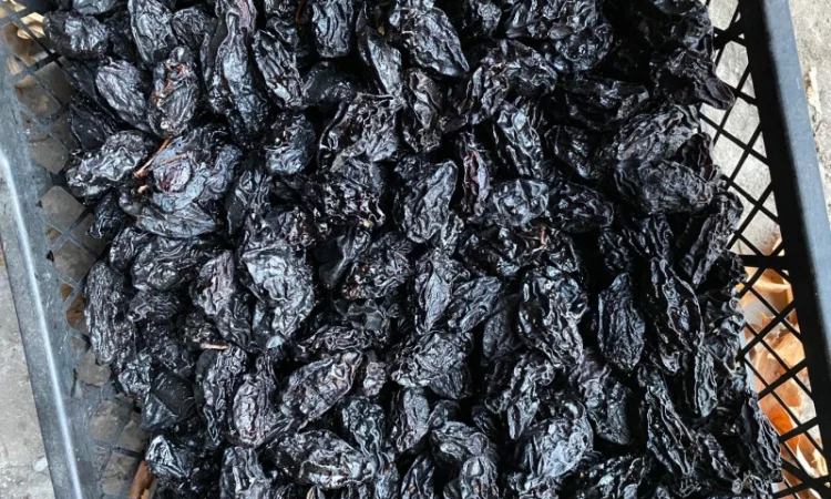 Пропонується в’ялений чернослив з кісточкою - фото № 3