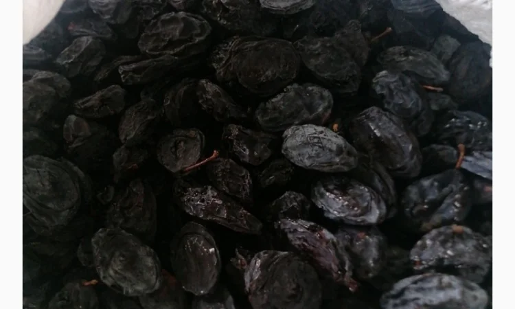 Чорнослив вялений - фото № 1