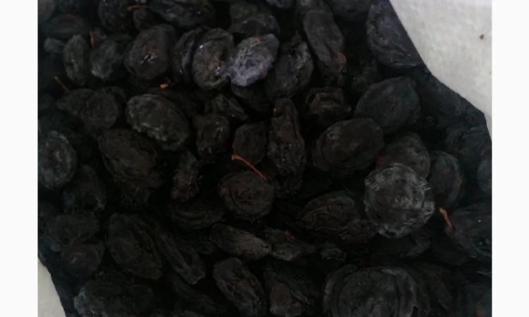 Чорнослив вялений - фото № 2