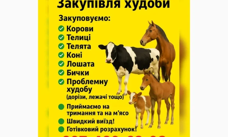 Закупка крупного рогатого скота для фермы - фото № 1