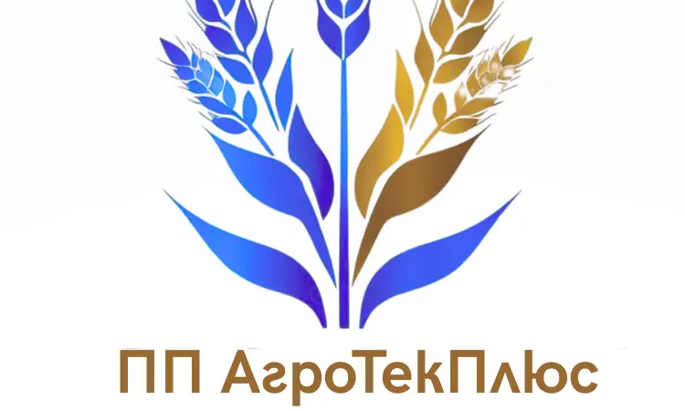 Куплю свиноматок терміново - фото № 1