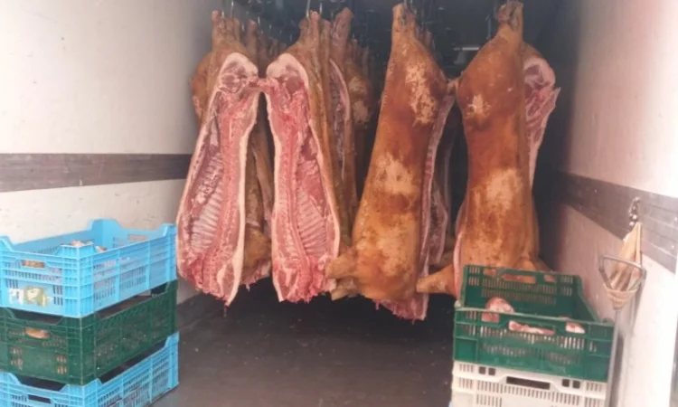 Бойня ТОВ «МʼясОпТорг» закуповує свиней та свиноматки - фото № 2