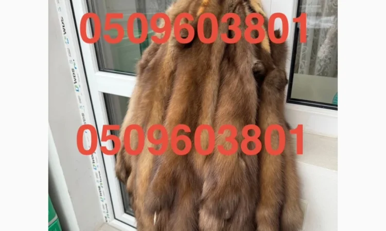 Куплю шкурки куньих, лисьих, норковых и других животных - фото № 1