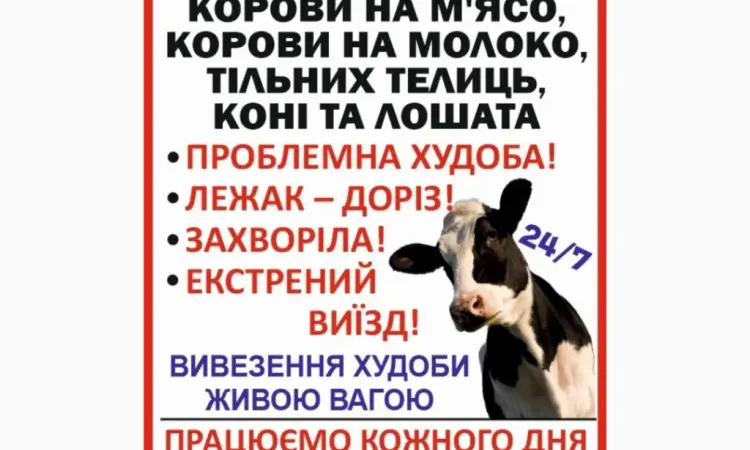Заготовка ВРХ и лошадей - фото № 1