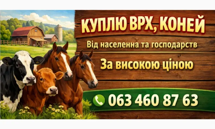 Куплю Бики - фото № 1
