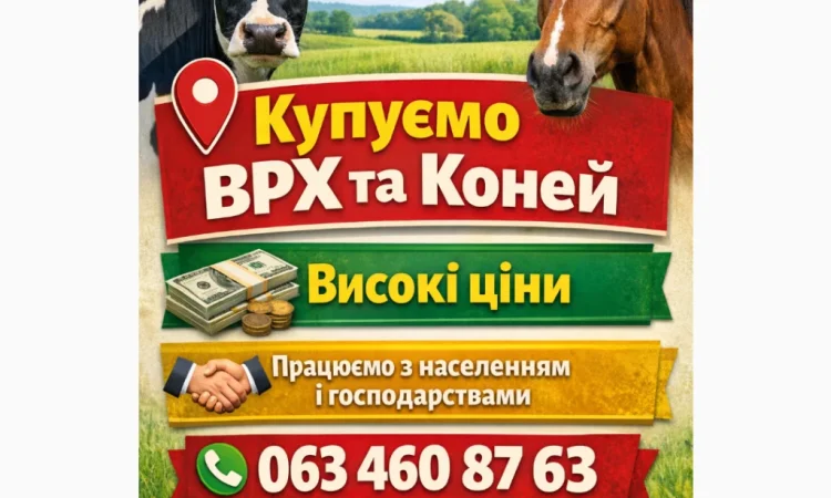 Купую ВРХ та коней за вигідною ціною - фото № 1
