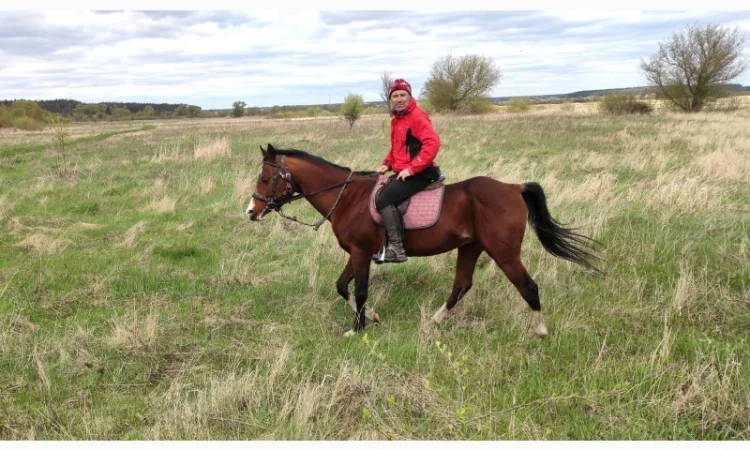 Денники для ваших коней в оренду - фото № 2
