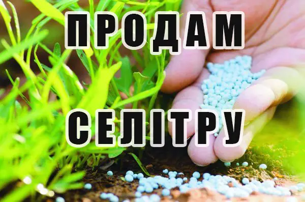Продам удобрения Селитра - фото № 1