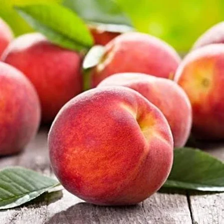 Саженцы персика Редхевен в продаже - фото № 1