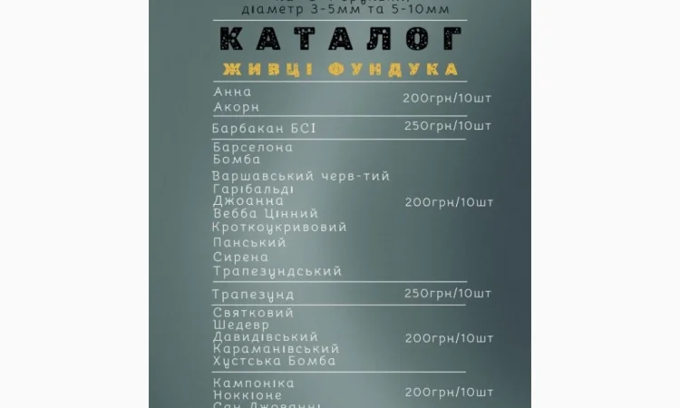 Живцы фундука для окулировки: два размера - фото № 2