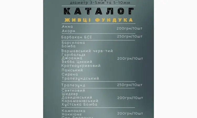 Черенки фундука для окулировки - фото № 2