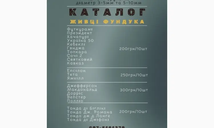 Черенки фундука для окулировки - фото № 3