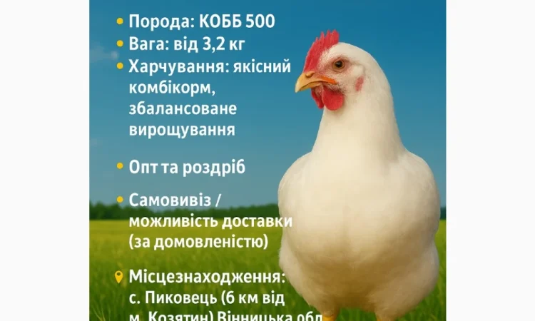 Продаются бройлеры живым весом - фото № 1