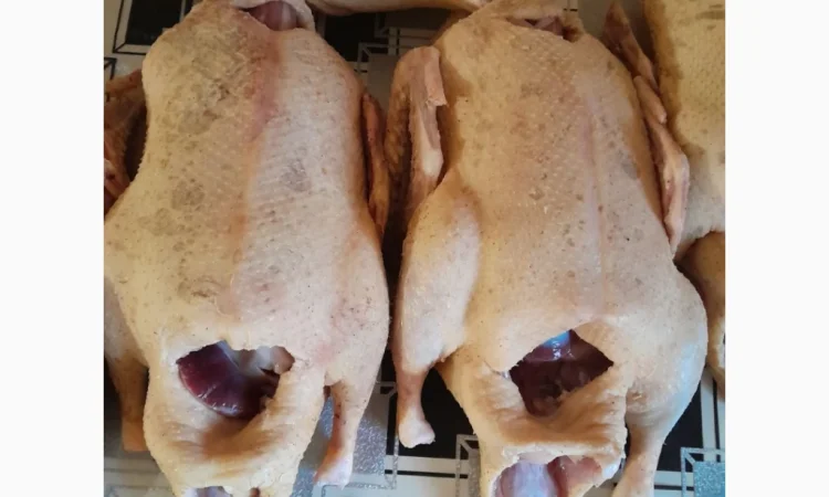 Качки домашні продам - фото № 2