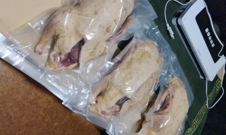 Качки домашні продам - фото № 6