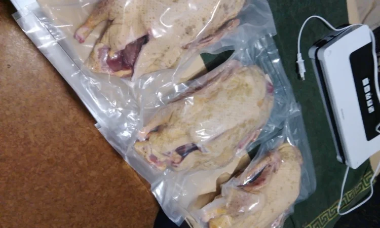 Качки домашні продам - фото № 8