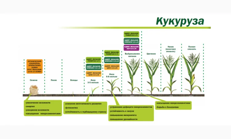 Микроудобрение КДМПР «Мальхам» марки Комплекс в продаже - фото № 5
