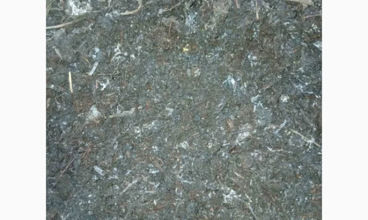 Куриный гной – органическое удобрение - фото № 3