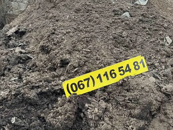 Продам сипець - фото № 2