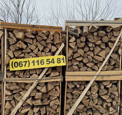 Продам сипець - фото № 3