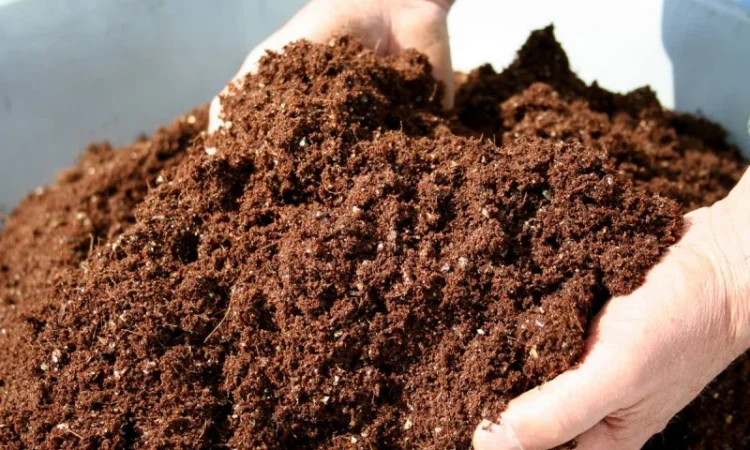 Компост на основе куриного помета - фото № 1