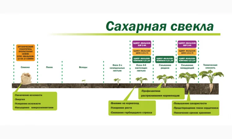 Органическое средство от сорняков «Глюмикрон» - фото № 3