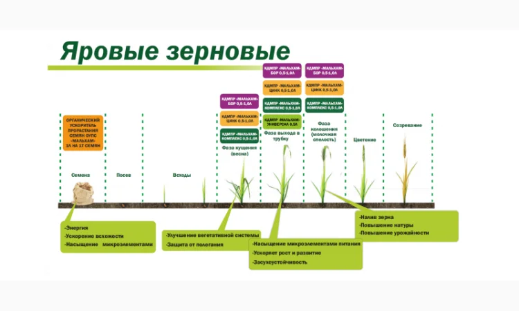 Органическое средство от сорняков «Глюмикрон» - фото № 4