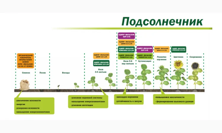 Органическое средство от сорняков «Глюмикрон» - фото № 5