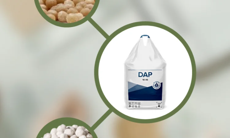 Амофос NP 11 52 - фото № 1