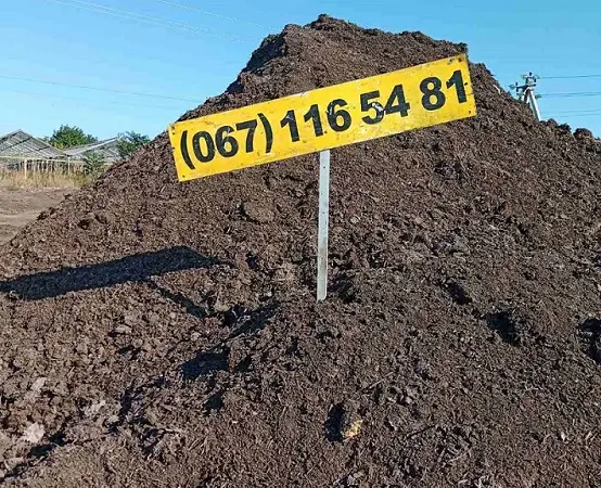 Предлагаю машину сыпца недорого Одесса и область - фото № 1