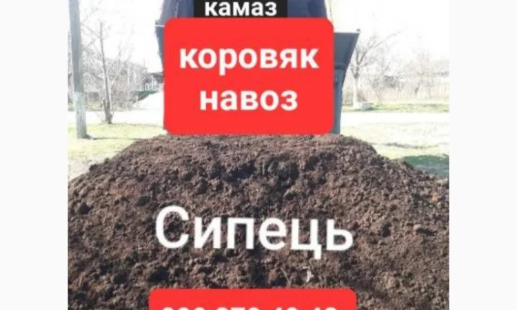 Доставка чорнозему та перегною в Одесі - фото № 1